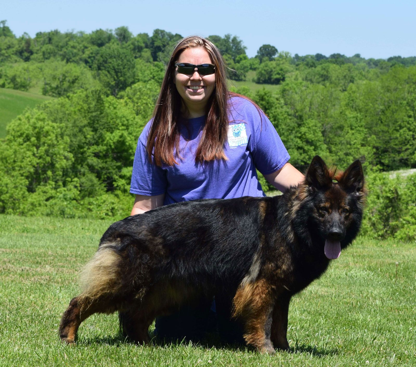 long coat german shepherds